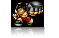 mma trining gym robina