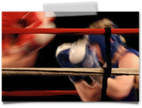 boxing gold coast